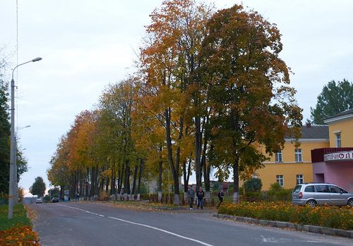 Улицы Кричева
