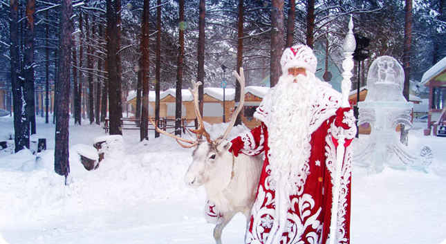 Экскурсии по Беларуси: Новогодняя Беловежская Пуща