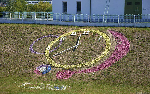  Могилевская область Шклов 