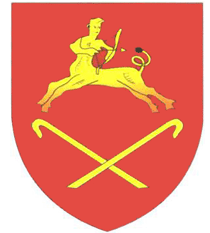 Герб г. Старые Дороги