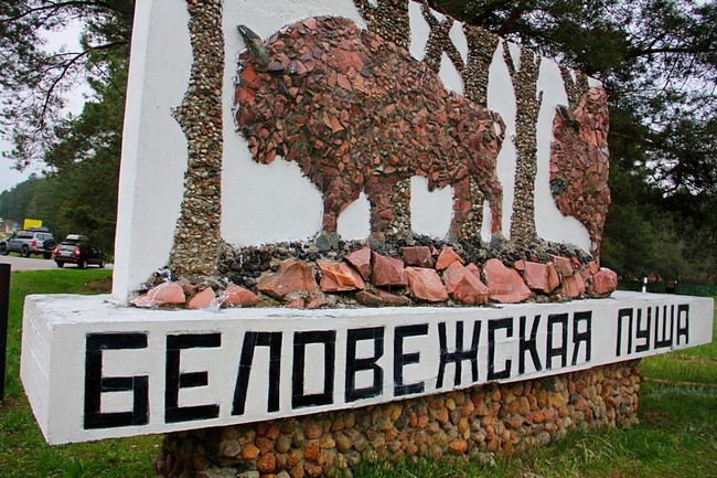 Беловежская пуша