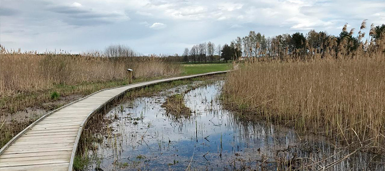 Экотропа &mdash; В краю вертлявой камышовки
