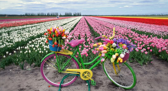 Белорусская Голландия