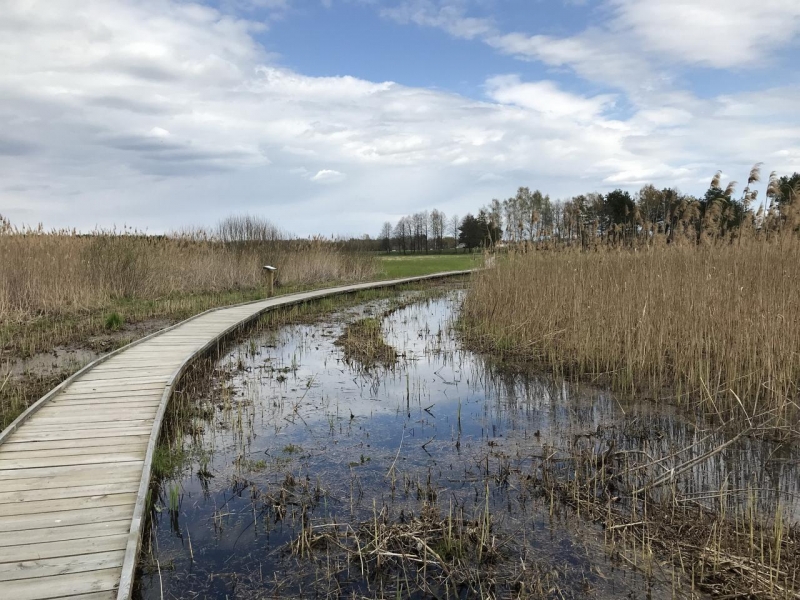 Экотропа — В краю вертлявой камышовки