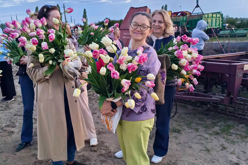 Белорусская Голландия